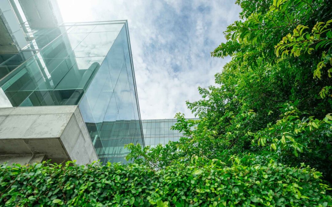 5 tips to reduce the carbon footprint of your business travel