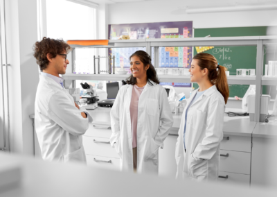 International chemical group – Global T&E governance